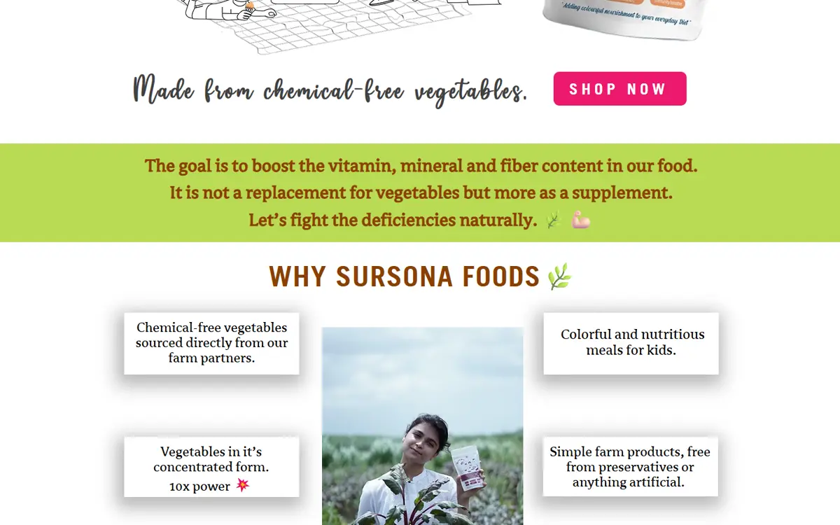 Sursona Foods website: what we offer, “Made from chemical-free vegetables.”
